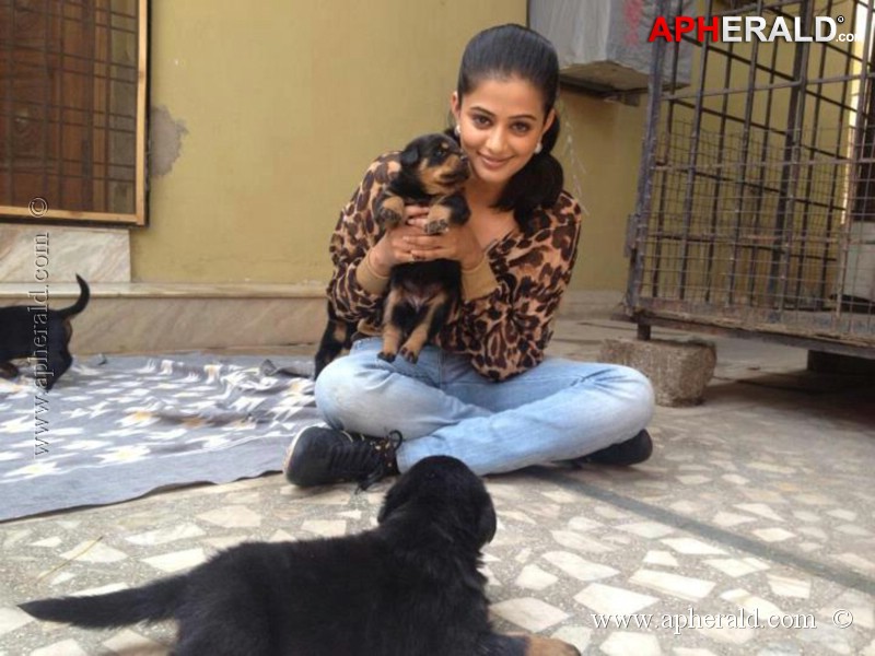 Priyamani Rare Photos