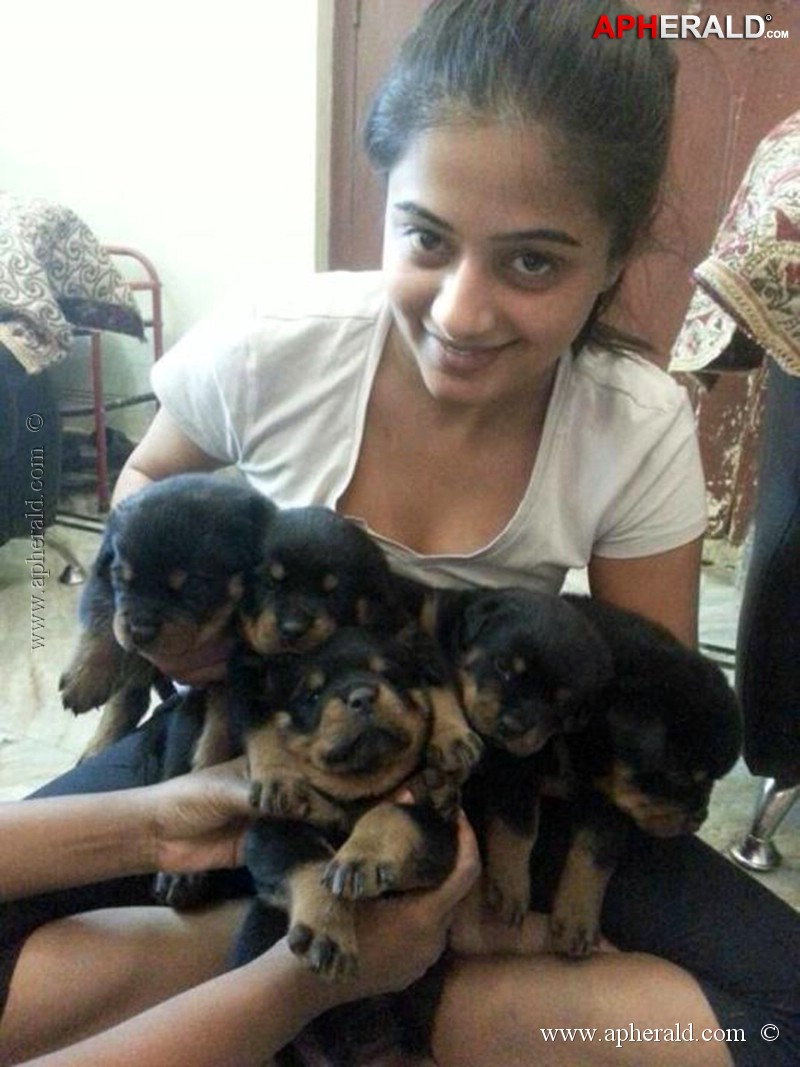 Priyamani Rare Photos