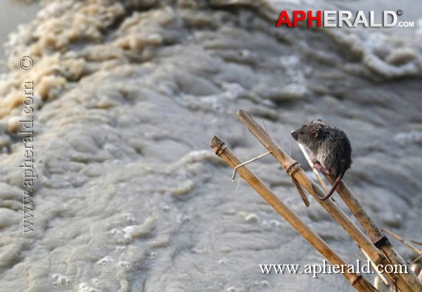 Rain Ravage around Kedarnath Temple Photos
