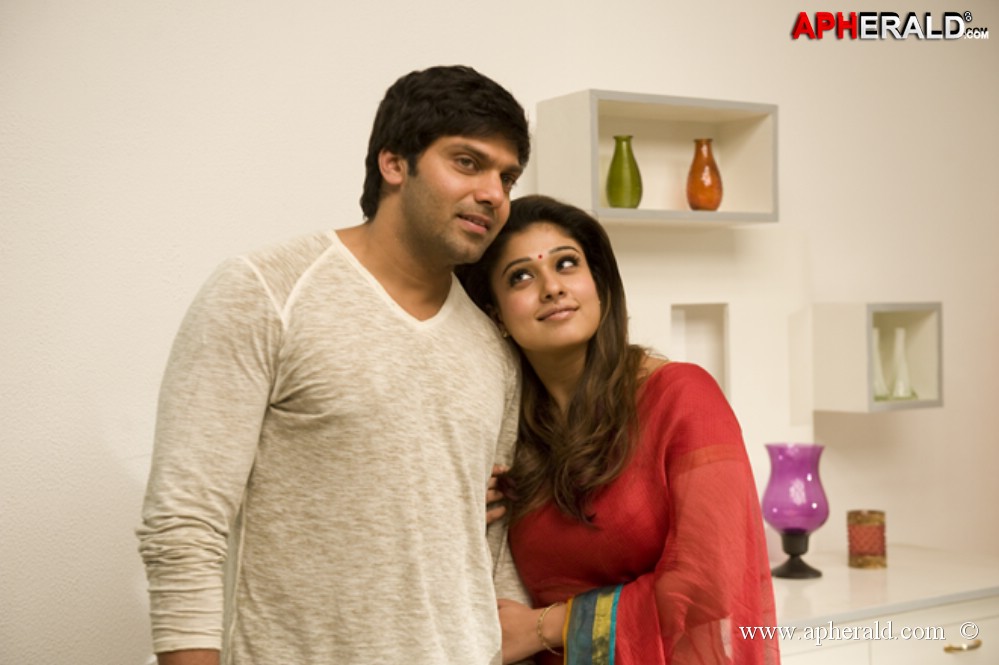 raja rani movie new gallery