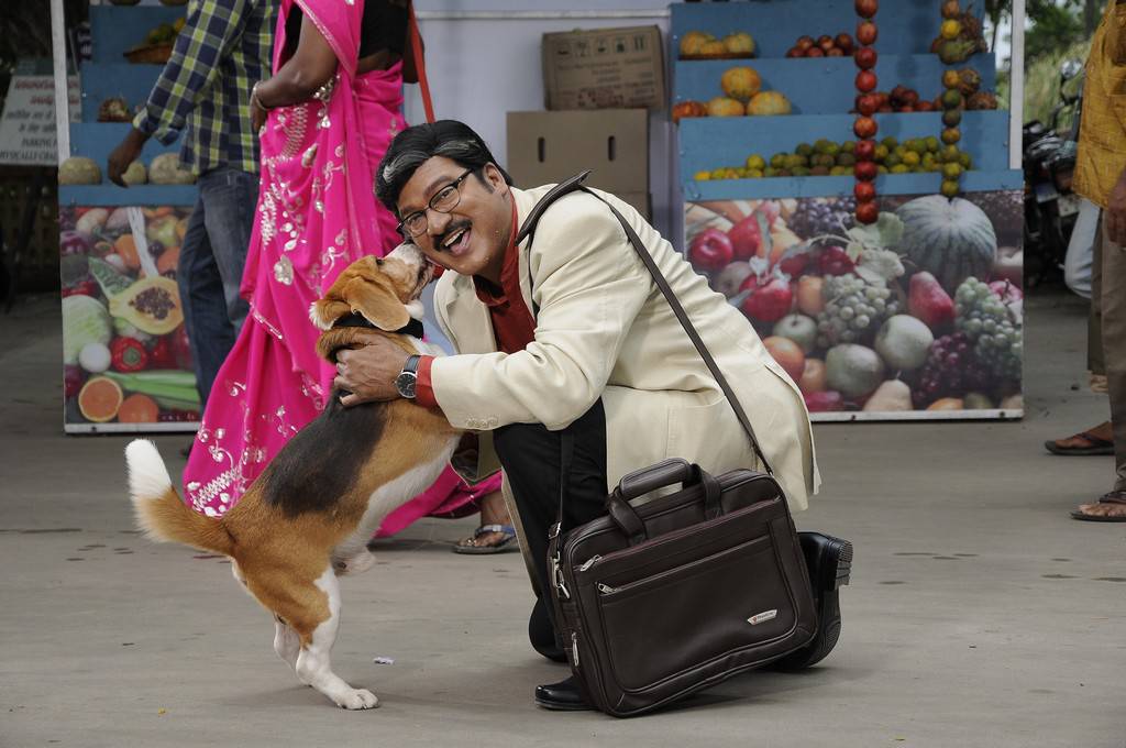 Rajendra Prasad Tommy Movie Latest Stills