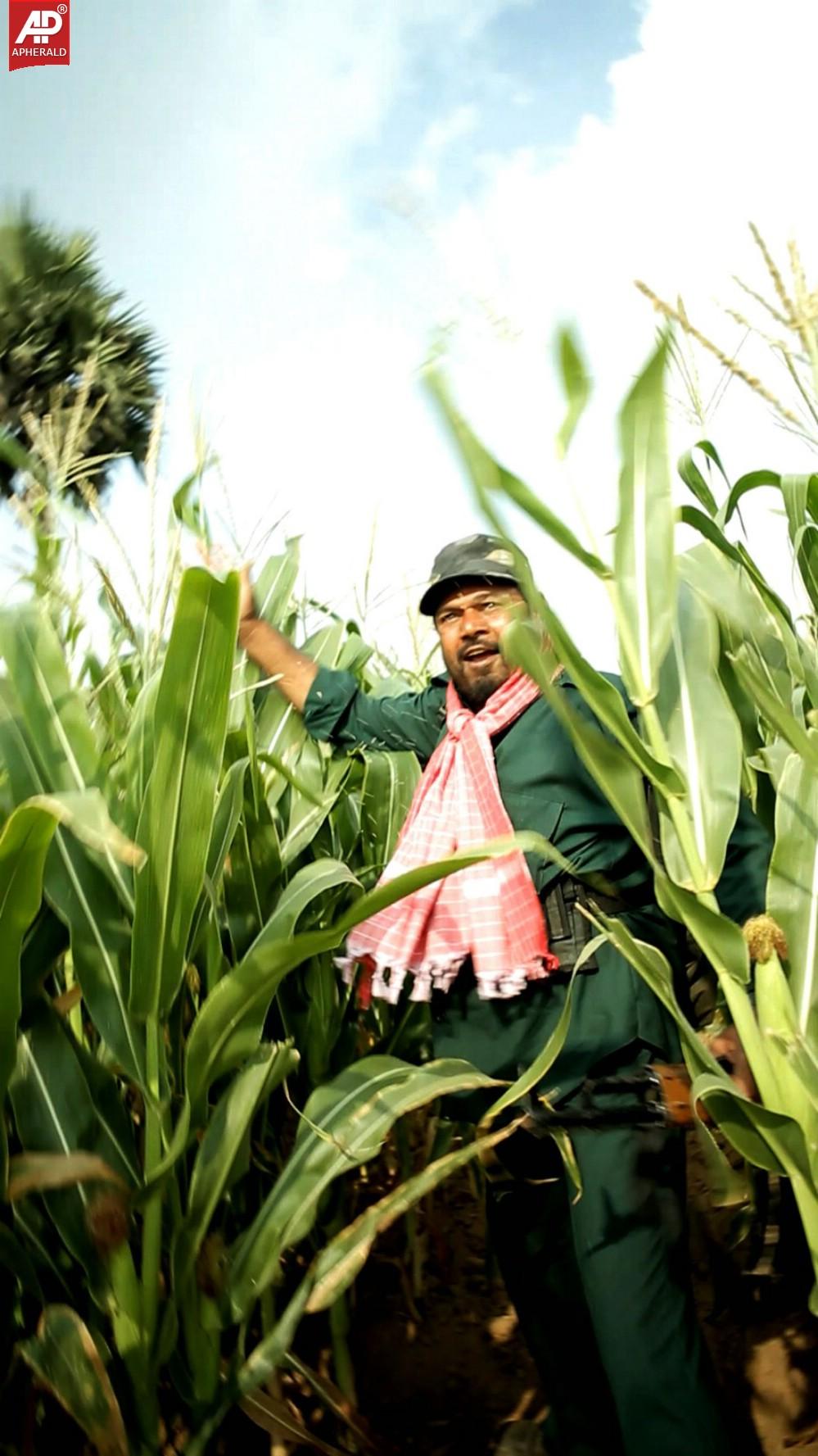 Rajyadhikaram Movie Stills