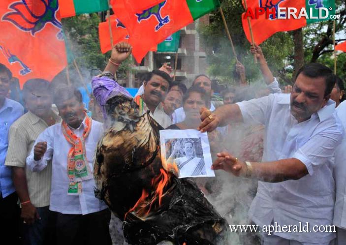 Samaikyandhra Agitation Photos