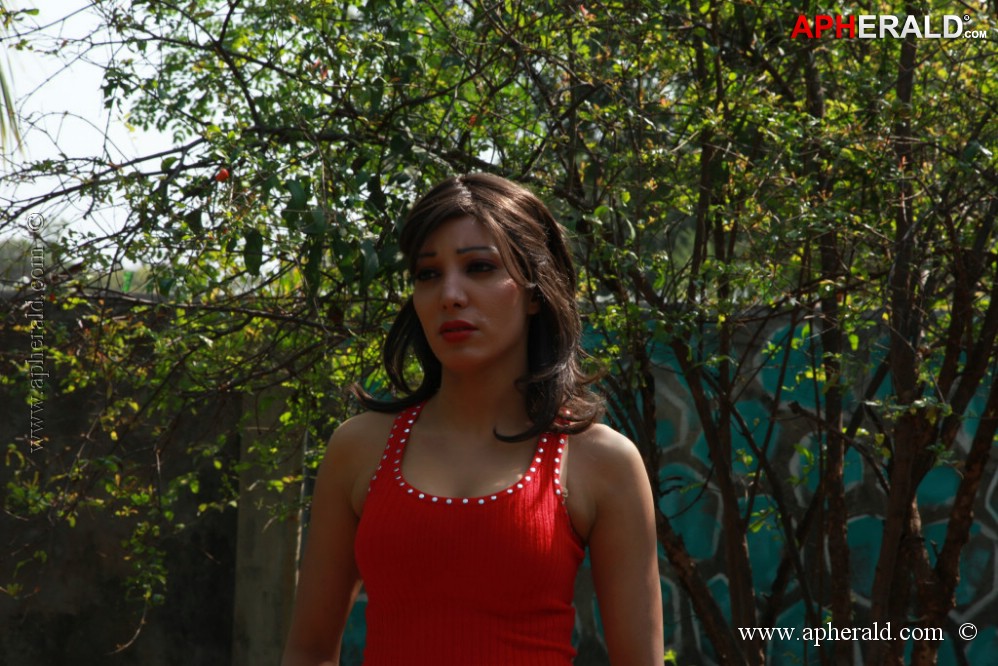  Sarena Movie Hot Stills