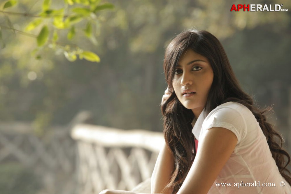 Second Hand Movie New Photos