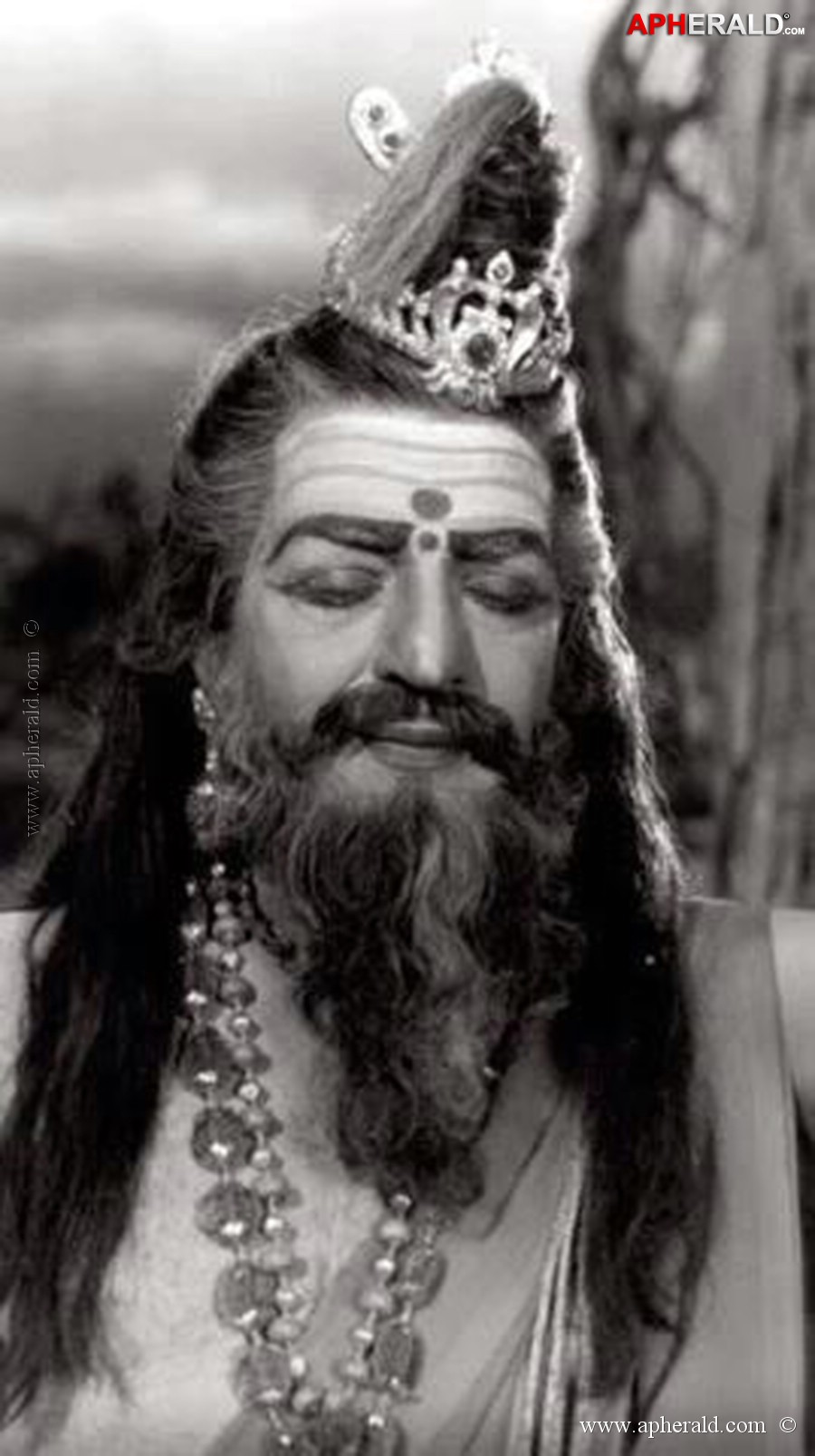 a sample image