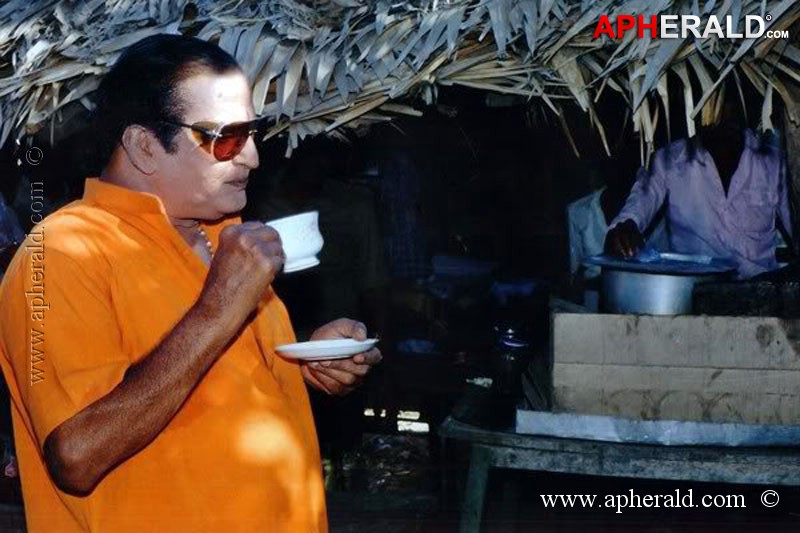 Sr Ntr Rare Photos