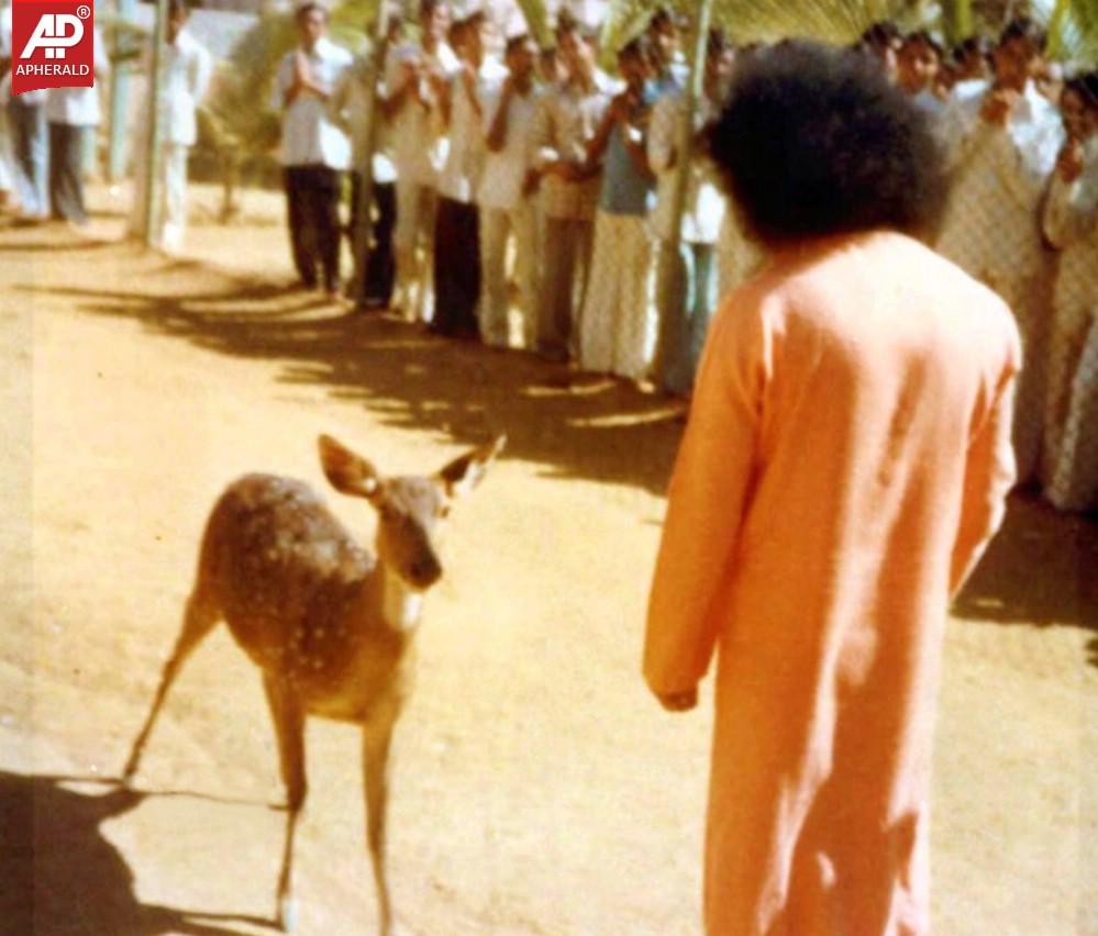 Sri Satya Sai Baba Rare Photos