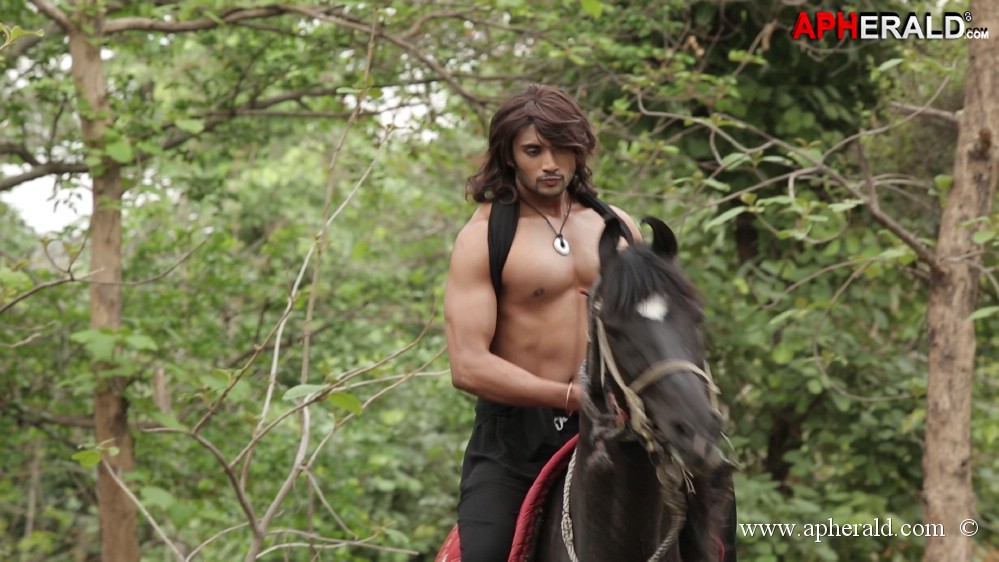 Srungaaram Movie Hot Pics