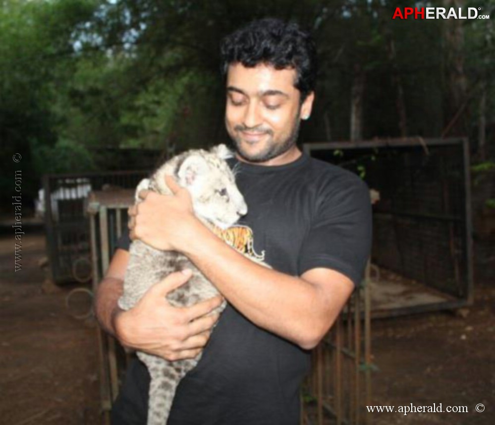 Surya Unseen Photos