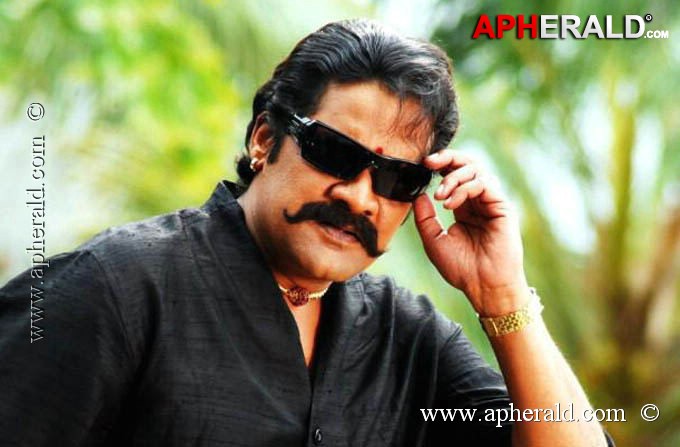 Swiss Bank Ki Daredi Stills