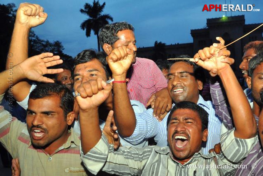 Telangana Celebrations Photos