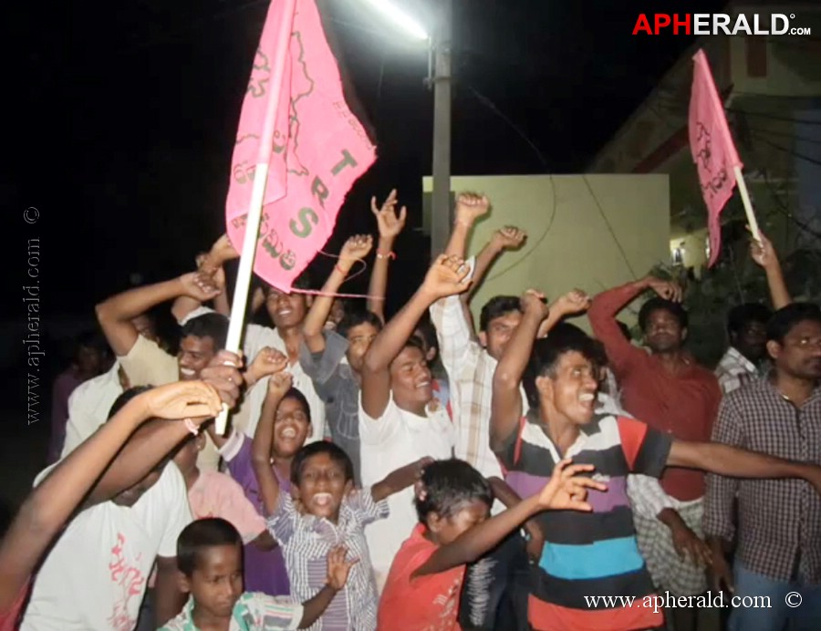 Telangana Celebrations Photos