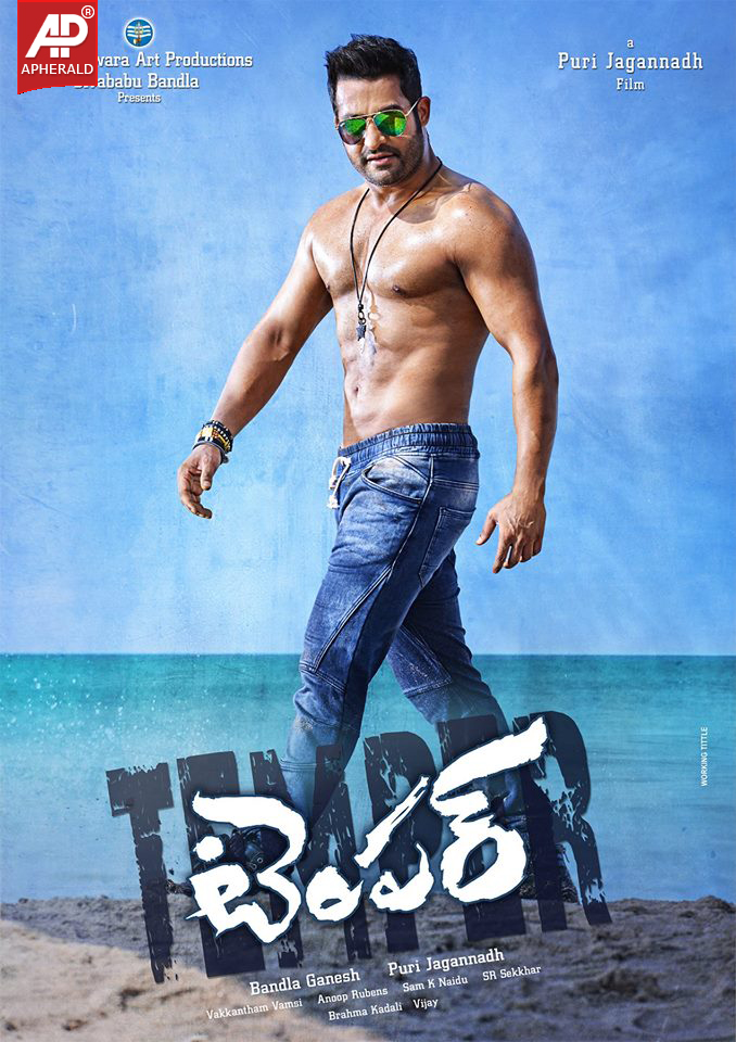 Temper Movie First Look Posters