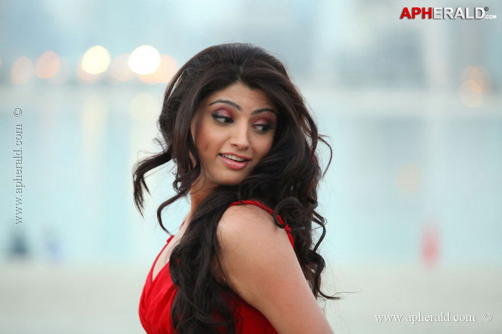Thigar Tamil Movie Stills