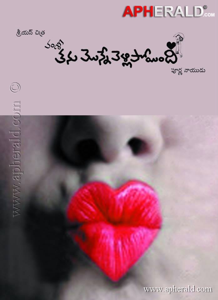 Vamsi's Thanu Monne Vellipoyindi Movie Posters
