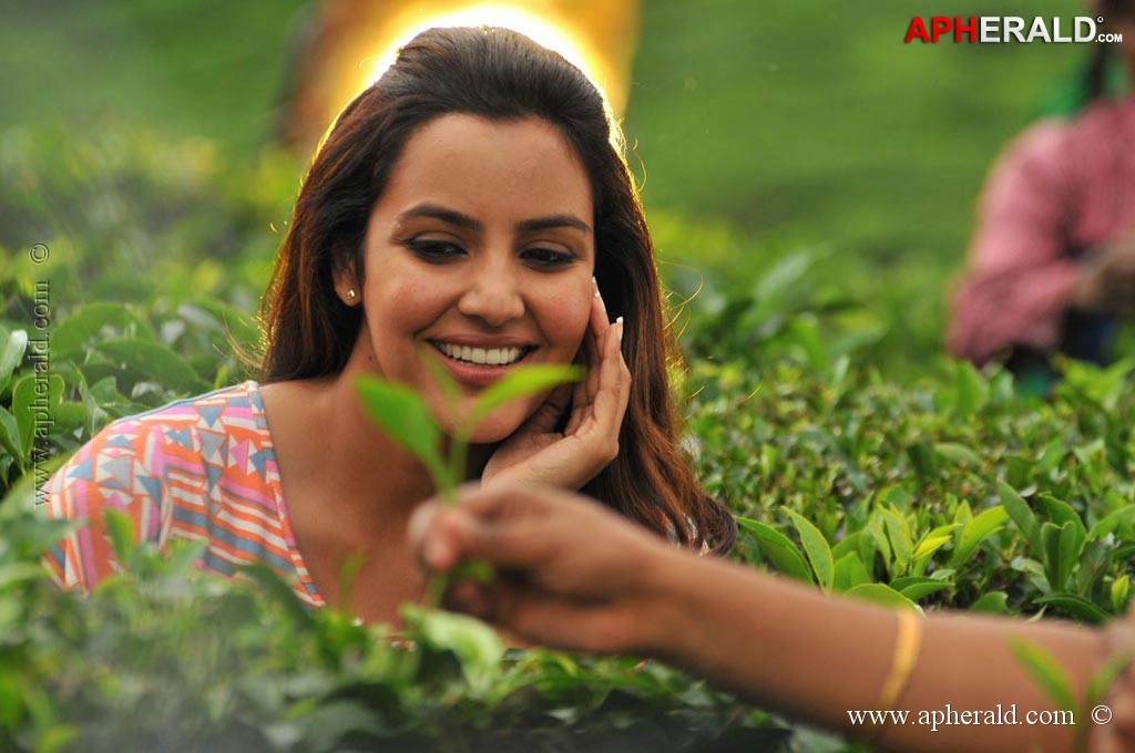 Vanakkam Chennai Movie Stills