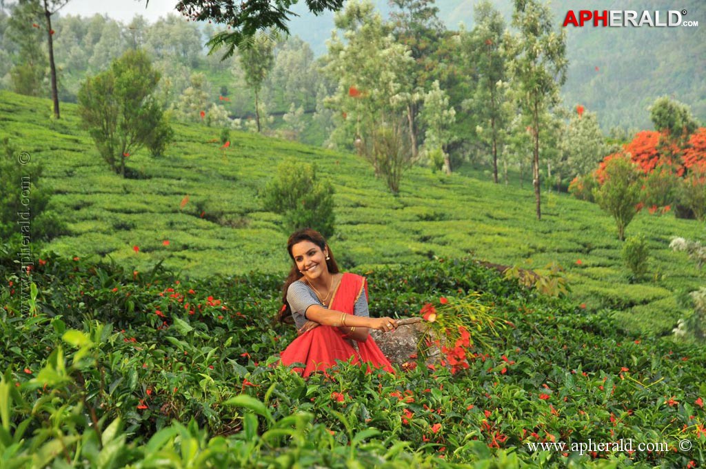 Vanakkam Chennai Movie Stills