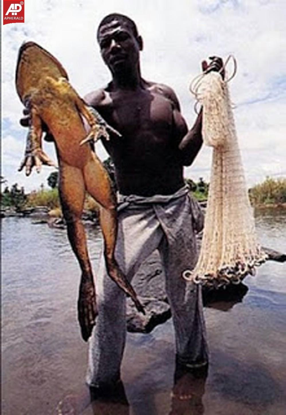 a sample image