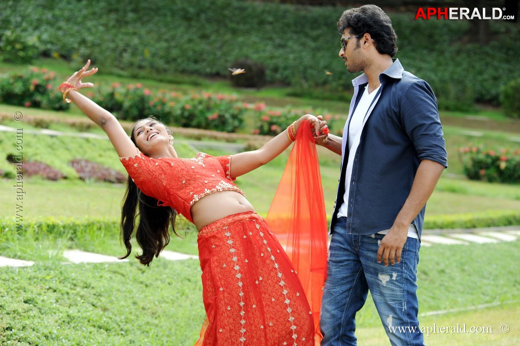 Writer Movie Stills