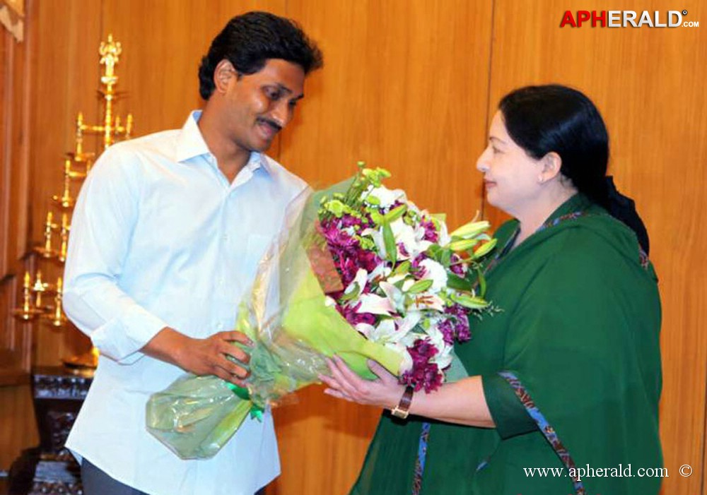 YS Jagan Mohan Photos