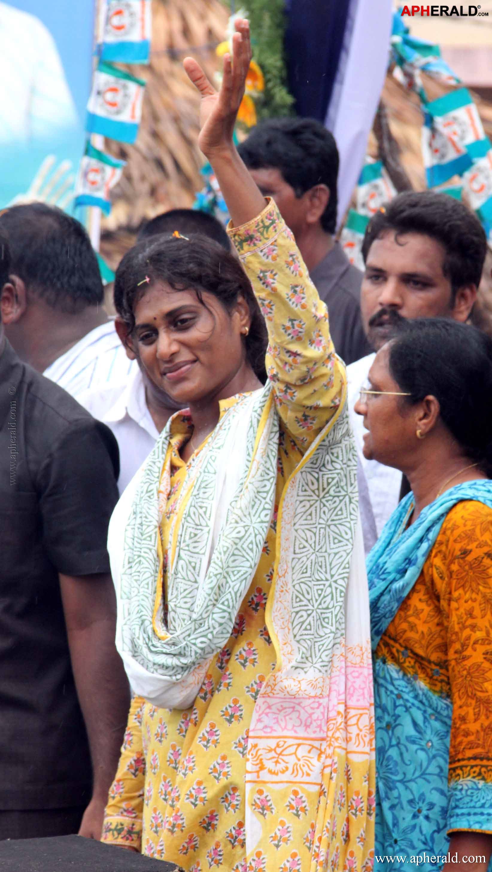 Ys Sharmila Padayatra Photos