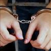 NRI Father and Son arrested