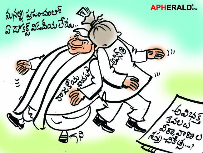 Conjoined Twins In Politics