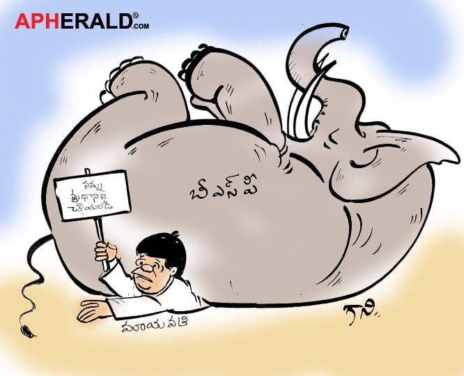 Mayawati's Plea
