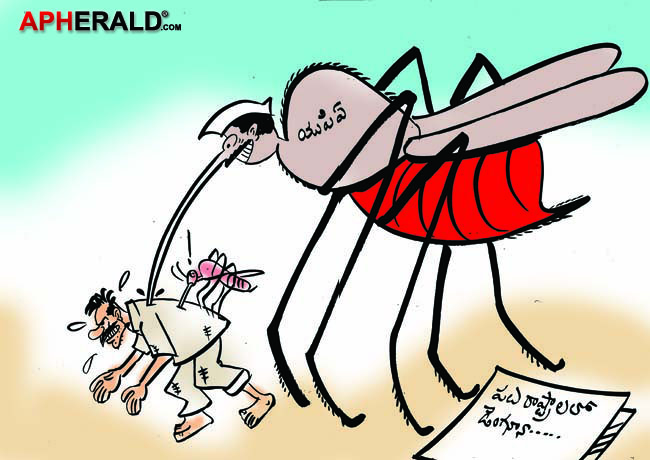 Political Dengue