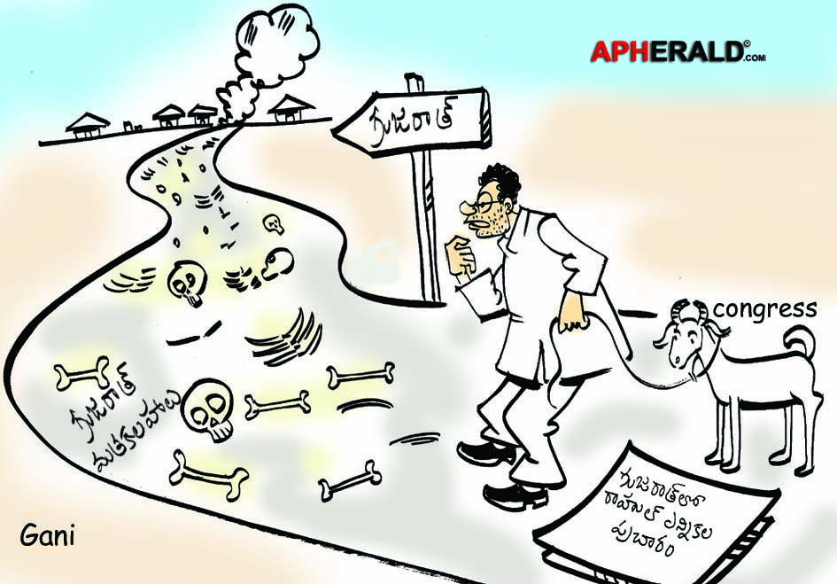Rahul in Gujarat Election