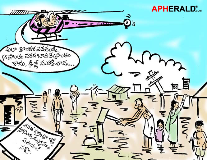 Sonia Manmohan Aerial Survey