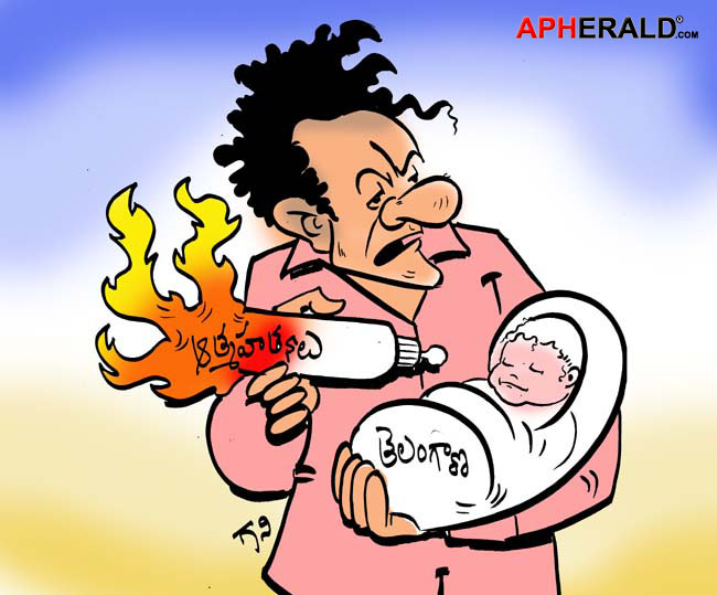 Suicide For Telangana