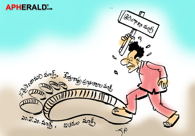 Telangana March