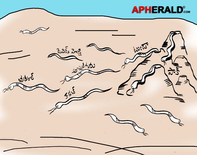 Terrestrial snakes of pakistan