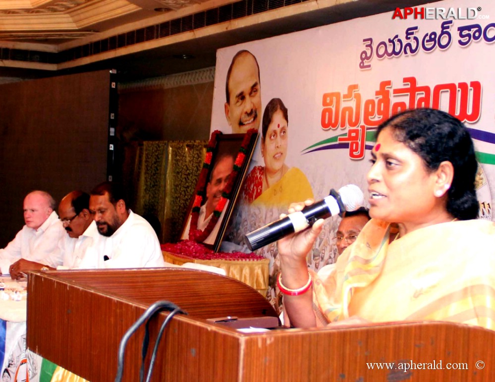 YSRCP State level meet in Hyderabad