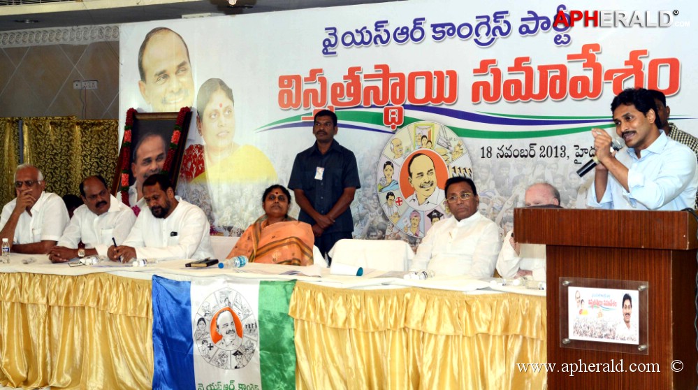 YSRCP State level meet in Hyderabad