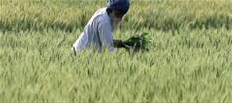 🌾 Great News: 23rd Installment of PM Kisan Samman Nidhi Scheme to Be Released