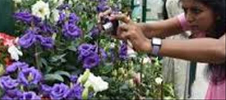 Local Holiday Declared in Nilgiris District Tomorrow