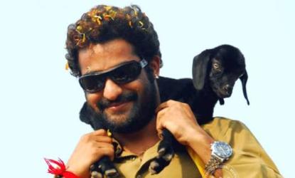  Will Jr NTR ready to take TDP Membership? 