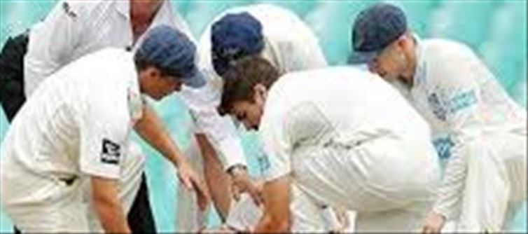 Once again cricket took life, bowler died due to batsman's shot