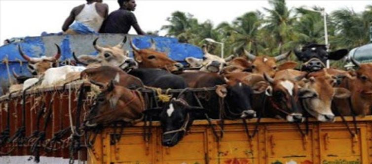 गोपालगंज में 45% किसान बीज को तरसे — नीतीश का 'कृषि रोडमैप' अफ़सरशाही ने निगल लिया?