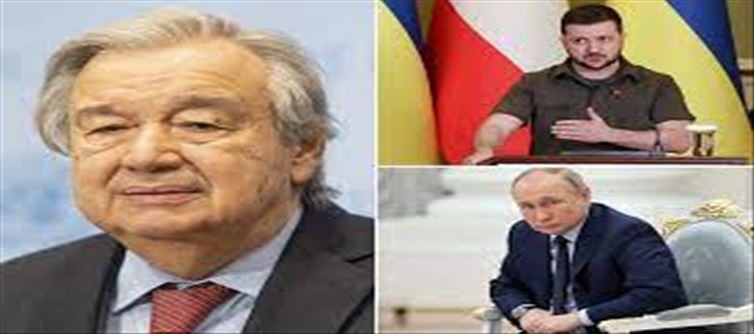 UN Secretary-General to meet Putin and Zelensky?