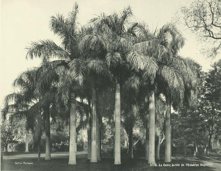Amazing Vintage Images of Egypt from the 1870s