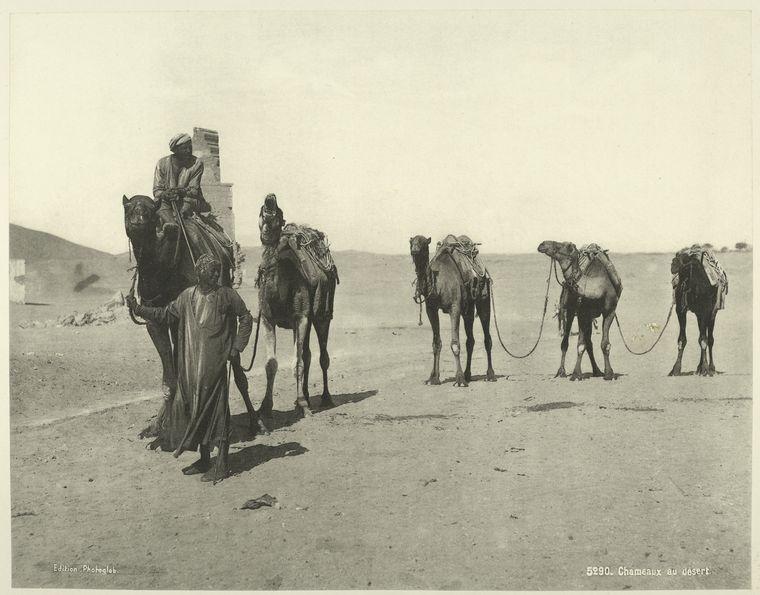 Amazing Vintage Images of Egypt from the 1870s