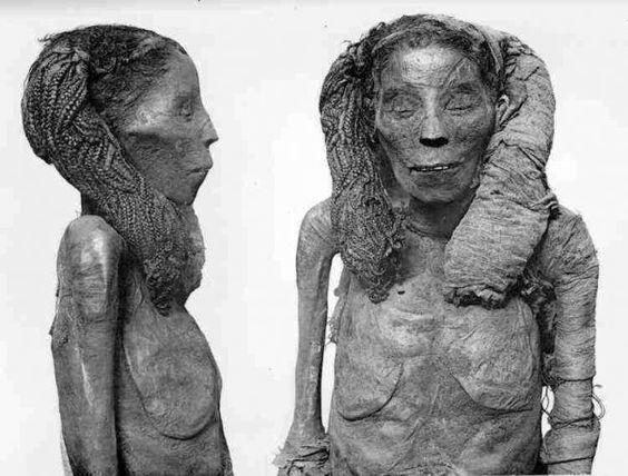 Amazing Vintage Images of Egypt from the 1870s