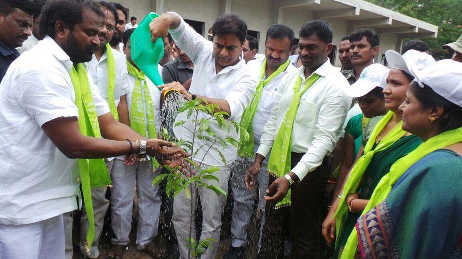 KTR planted saplings at Botanical Gardens as part of Haritha Haram