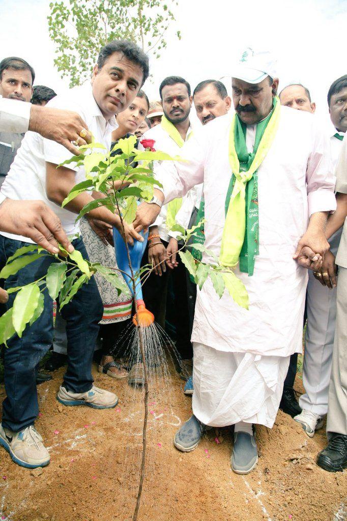 KTR planted saplings at Botanical Gardens as part of Haritha Haram