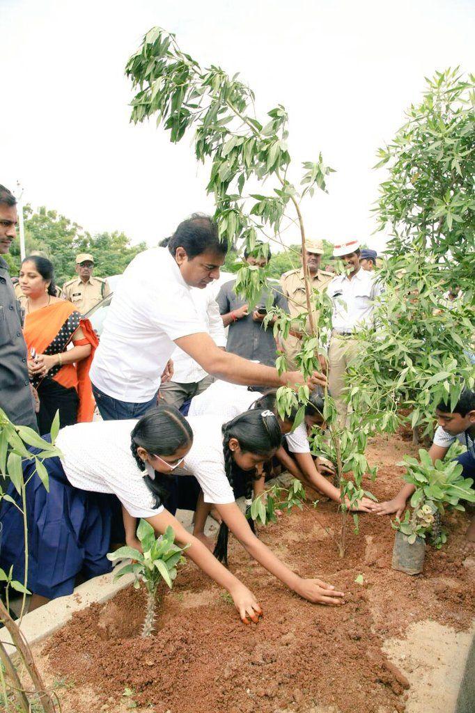 KTR planted saplings at Botanical Gardens as part of Haritha Haram