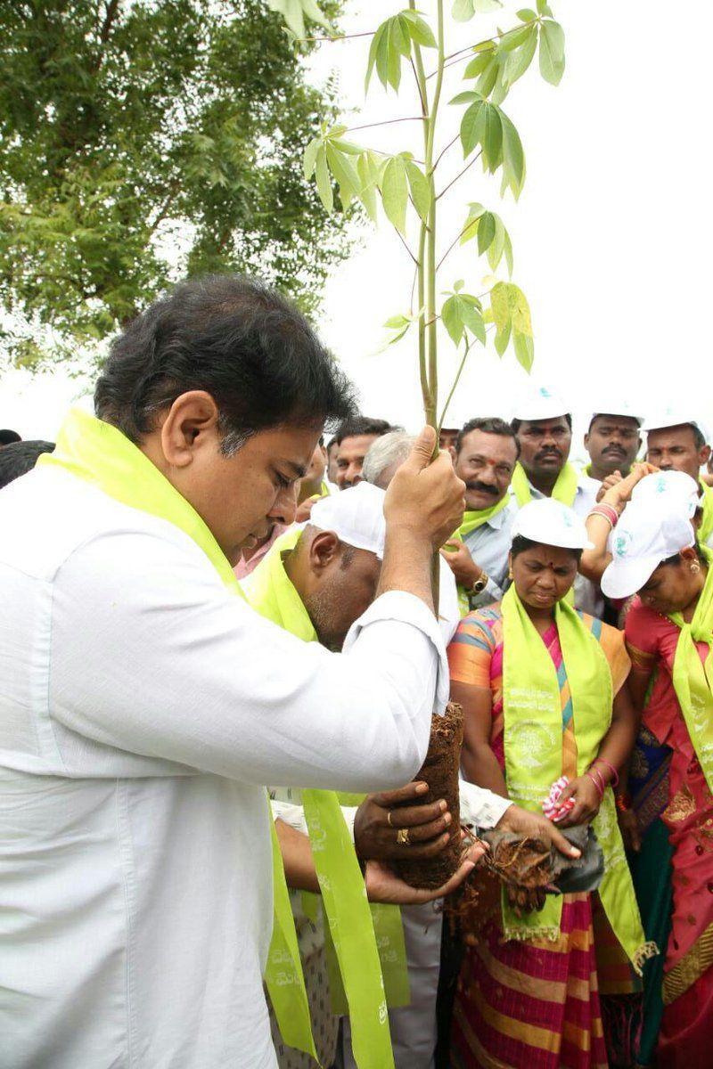 KTR planted saplings at Botanical Gardens as part of Haritha Haram
